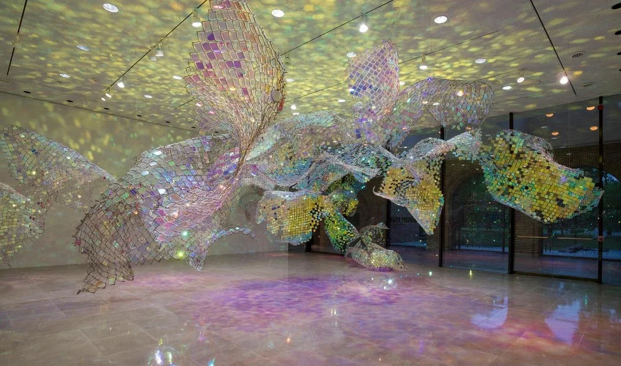 Outdoor color and light installation